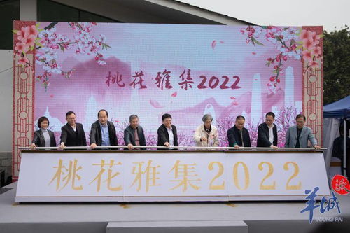 桃花雅集2022 白云区非遗沉浸式体验开启文化交融新篇章