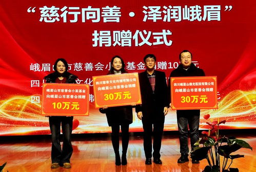 慈行向善 泽润峨眉——2025年度峨眉山市慈善工作与文化融合新篇章